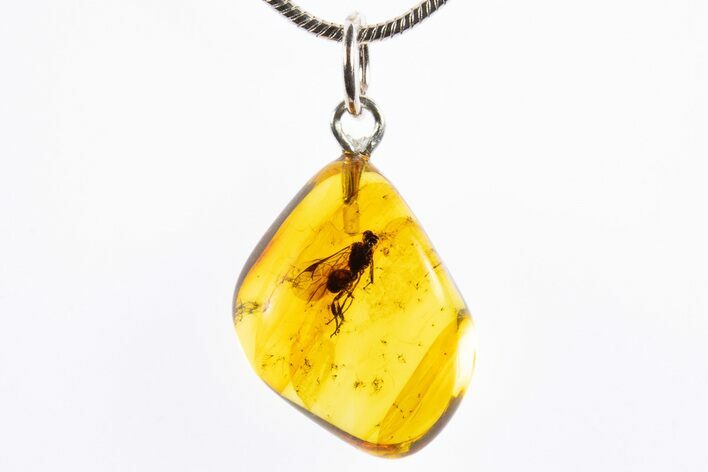 Polished Baltic Amber Pendant (Necklace) - Contains Wasp! #322032